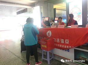 旅游e點通 鎮海旅游咨詢服務周，貼心無止盡，服務在延續